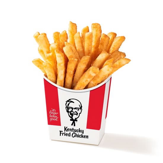 Secret Recipe Fries (Lg)